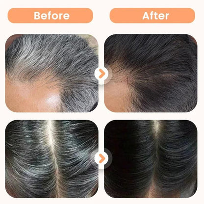 Plant Extract Hair Dye for Gray Hair 200 ml (Pack of 2)